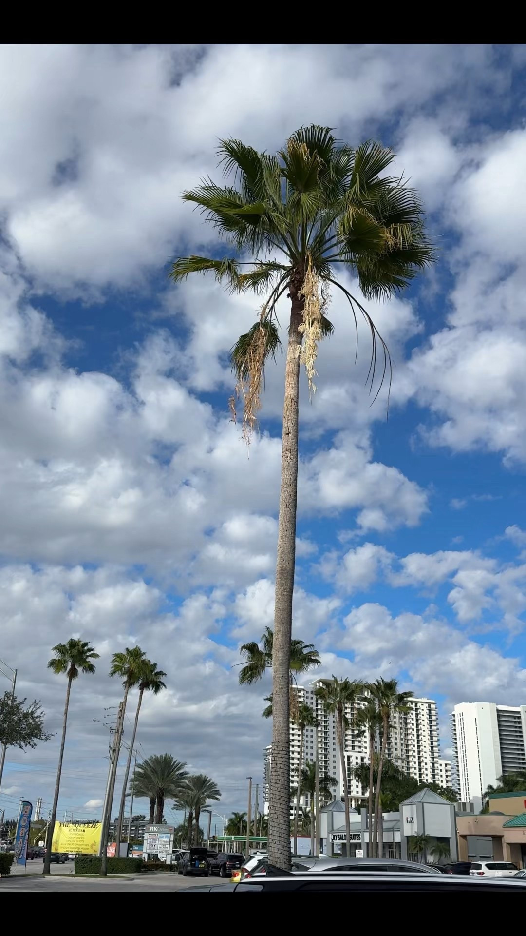 When the head wrap is multipurpose .