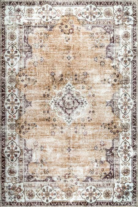 Light Pink Audrina Persian Washable 5' x 8' Area Rug | Rugs USA
