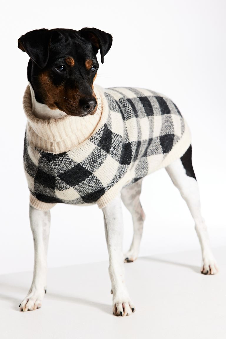 Jacquard-knit Dog Sweater - Beige/checked - Ladies | H&M US | H&M (US + CA)
