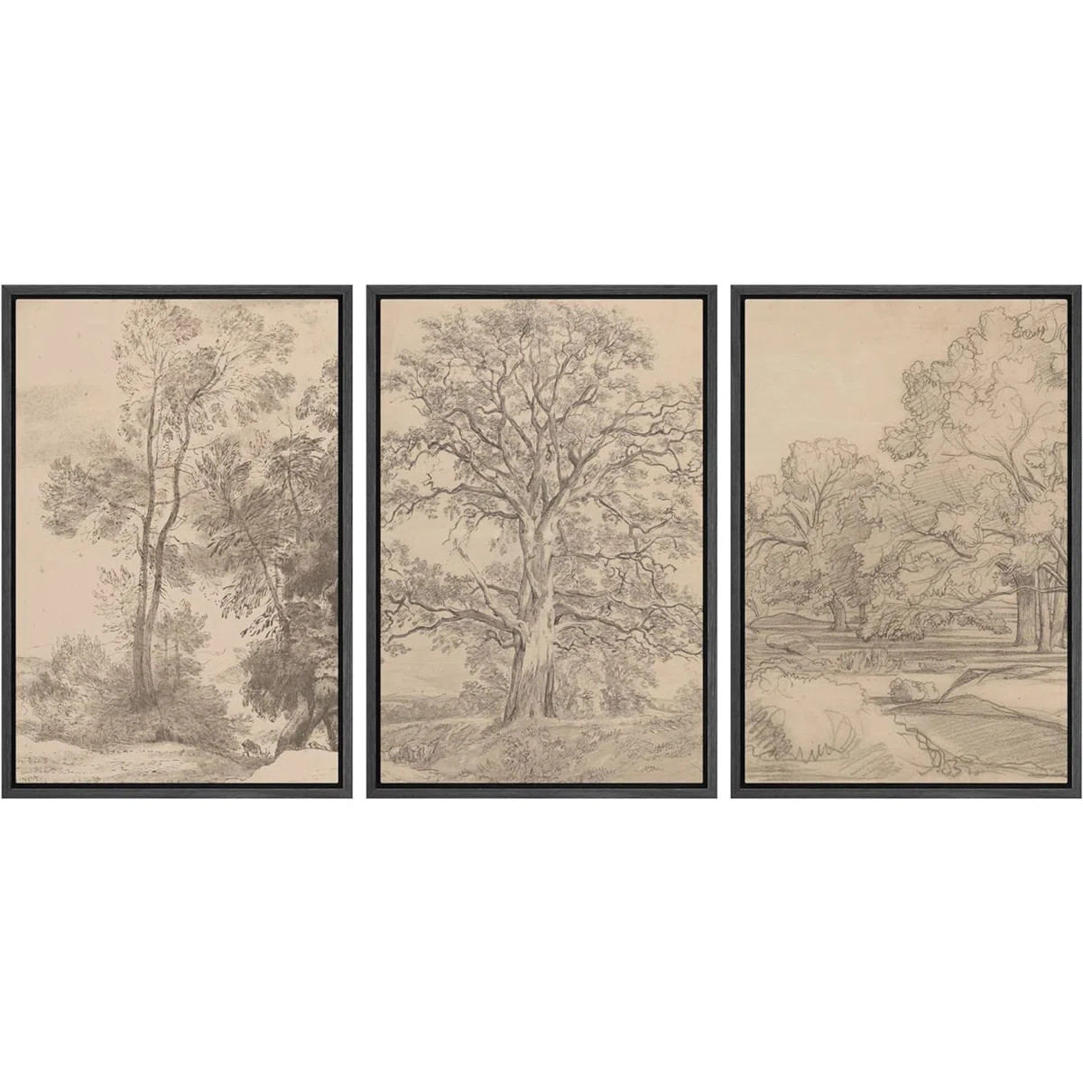 Rustic Countryside "Vintage Sketch Forest Tree Landscape Artwork, French Country Neutral Classic ... | Wayfair North America