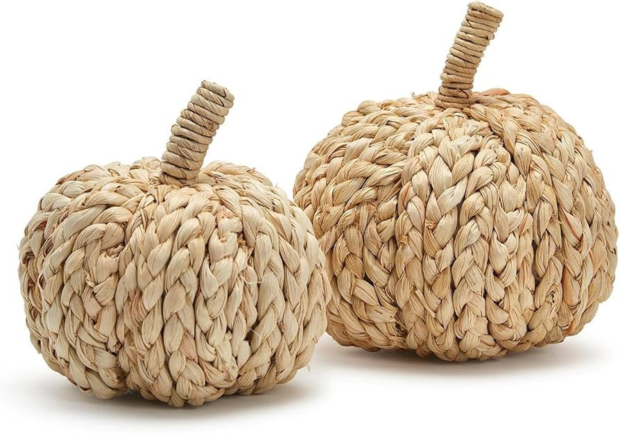 Two's Company Two's Company Fall Fanfare Set Of 2 Hand-Crafted Pumpkins | Amazon (US)