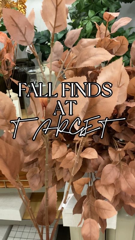 Fall Finds at Target 🍂🍁🎃🍄

#LTKSeasonal #LTKHoliday #LTKhome