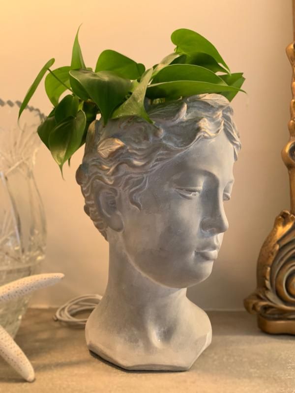 Grecian Bust Pot | Anthropologie (US)