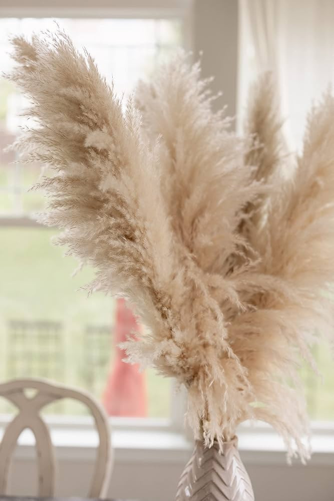 Flowers by Lilly and Di, Pampas Flowers, Tall Big 3 Stems. Natural Dried Pampas Grass, 48" (4FT),... | Amazon (US)