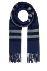 Burberry Striped Cashmere Scarf — Navy | Italist Inc.