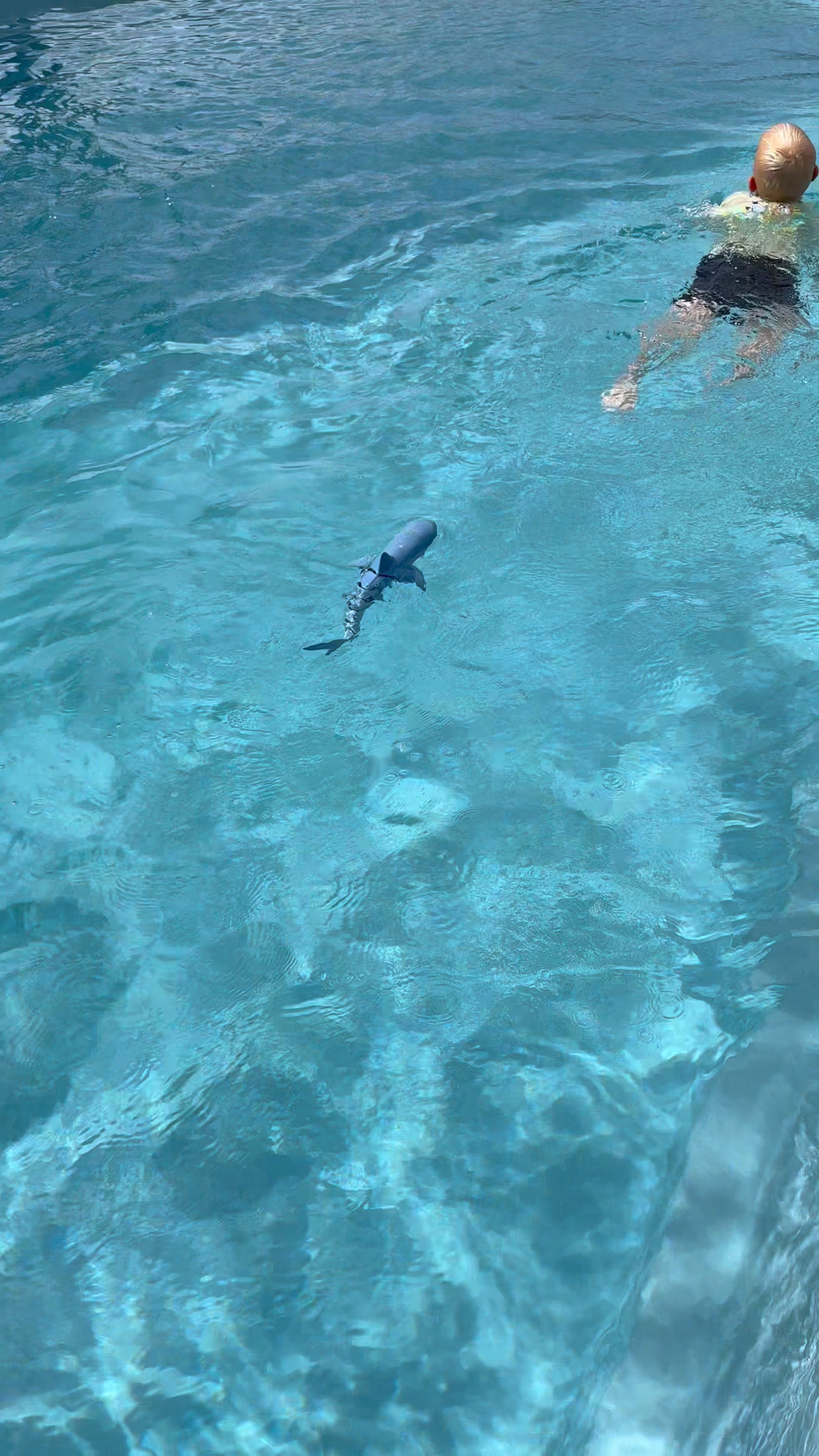 I would have died to have one of these when I was little. If your kids love water, they’re going to be OBSESSED with this thing! I got this remote control pool shark for my kids to use this summer in our pool and on vacation! It moves in every direction. Forward, backward, left, and right and the lifelike tail makes it look like a real shark swimming. I don’t even have to worry about my 3 year old because this remote is completely waterproof so no worrying about water damage. It lights up for visibility during night swims and it even sprays water. The shark itself has rechargeable batteries so you don’t have to constantly swap them out which is definitely a parent win 🤣 My kids and husband have played with this everyday since I bought it and I already know it will be a toy that comes with us on our upcoming vacation. It would make an amazing birthday gift this sunmer  🦈

#LTKSummerEdit #LTKKids #LTKFamily