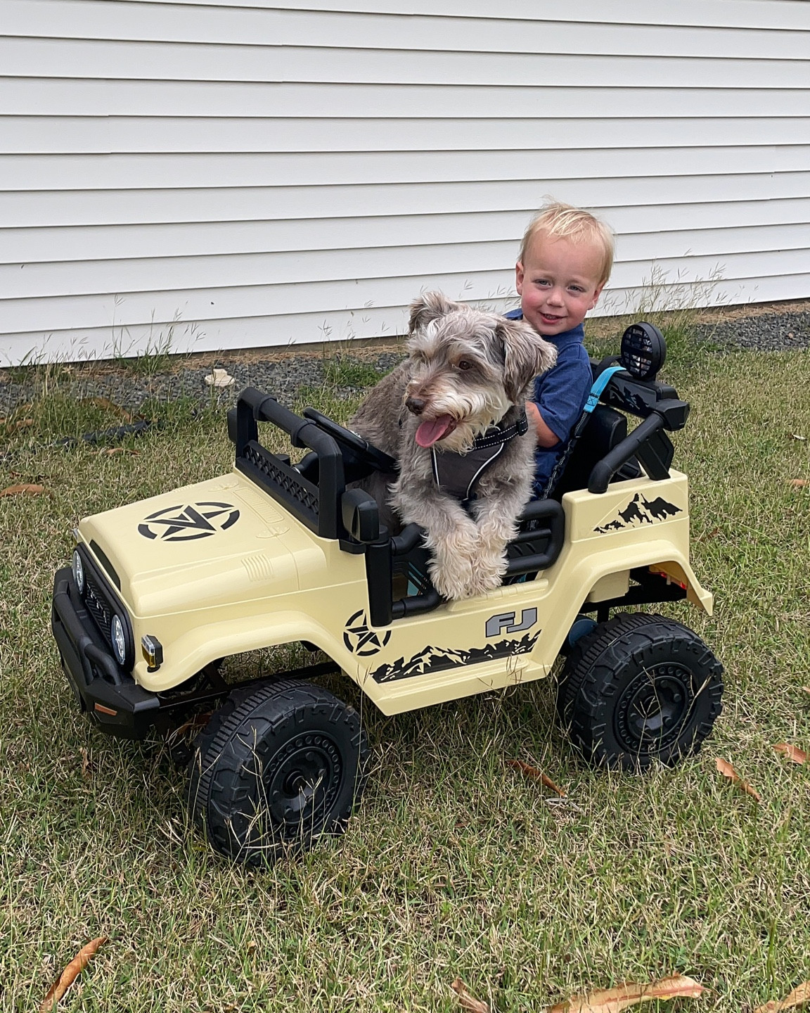 My toddler and his best bud love his FJ Cruiser from Walmart! Best part is the parents can control it too! 

#LTKkids #LTKbaby