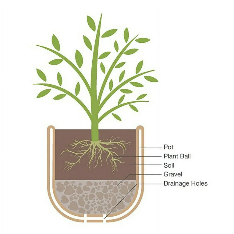 1 year limited warranty | Walmart (US)