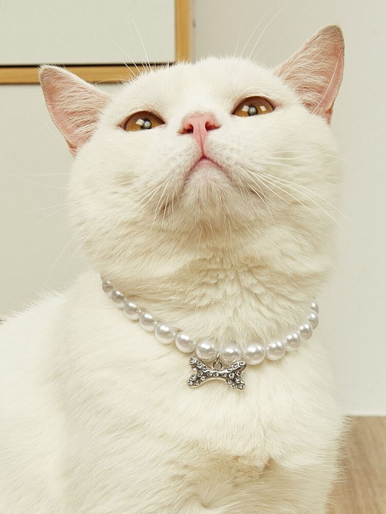 Faux Pearl Decor Pet Necklace | SHEIN