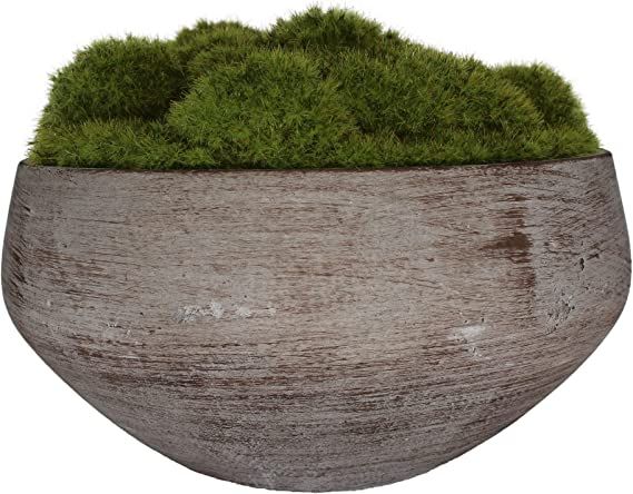 MD MACOMINE DESIGN Moss Bowl | Artificial | Hand-Painted Cement Bowl | Centerpiece | Home Décor ... | Amazon (US)