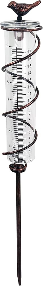 JOYBee 7inch Capacity Glass Spiral Rain Gauge,Cast Iron Bird Hanging Rain Gauge,Garden Rain Water... | Amazon (US)