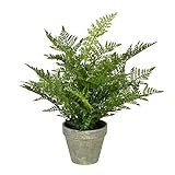 Vickerman 19" Green Potted Fern. Artificial-Plants | Amazon (US)