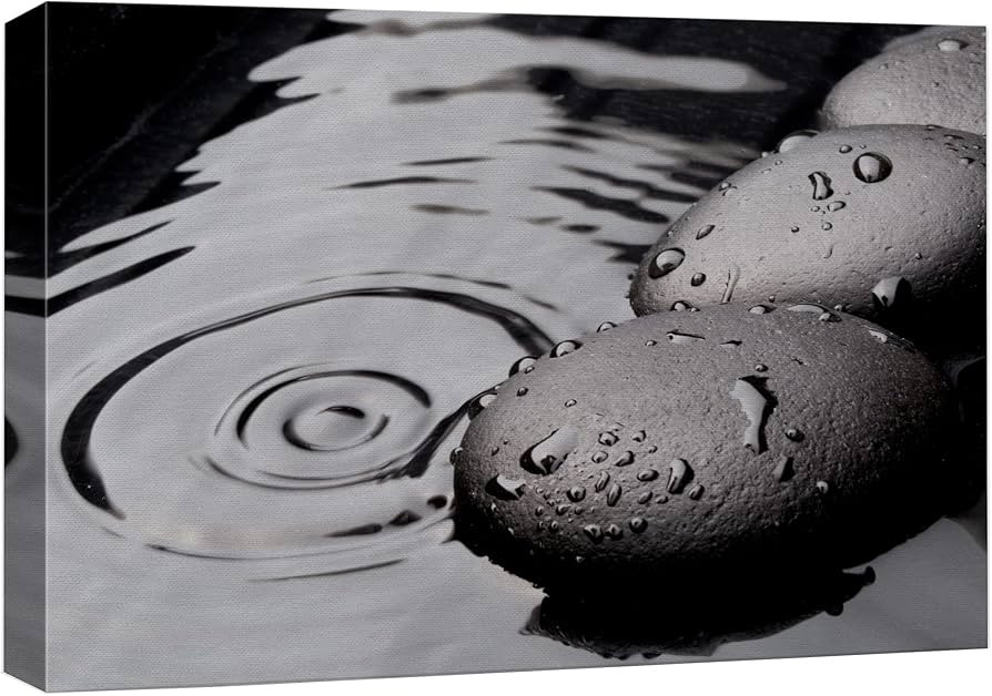 wall26 Canvas Print Wall Art Black Rocks with Ripples in The Water Floral Nature Photography Real... | Amazon (US)