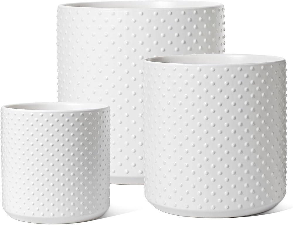 LE TAUCI 6+8+10 Inch Plant Pots Indoor, Ceramic Planter Pots for Plants, Raised Dots Flower Pots ... | Amazon (US)
