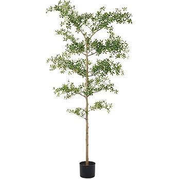 8' Shady Lady Olive Silk Tree w/Pot -Green | Amazon (US)