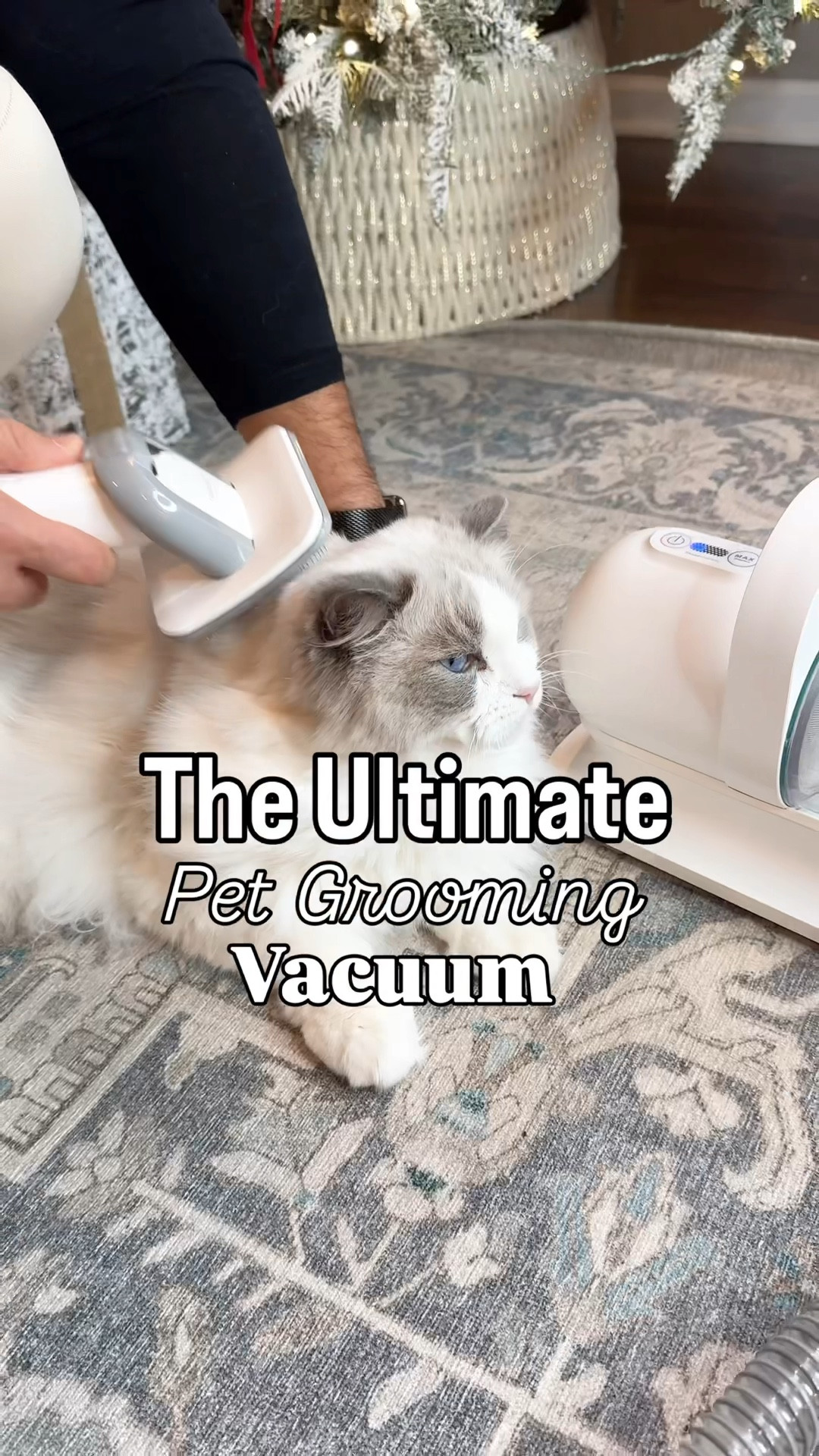 This grooming vacuum is now on a limited time deal!✨ It makes grooming and trimming 10x easier for both you and your pet and is suitable for both long and short haired pets!
Amazon find, Amazon must have, Amazon pets, gift guide, gift guide for animal lovers, Amazon home, gifts for her, gifts for him, gifts for mom, gifts for dad, pet essentials, pet finds, pet supplies, Amazon finds home, Amazon home finds

#LTKFindsUnder100 #LTKSaleAlert #LTKGiftGuide
