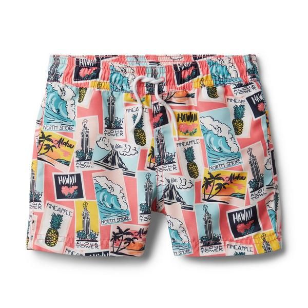 Postcard Swim Trunk | Janie and Jack