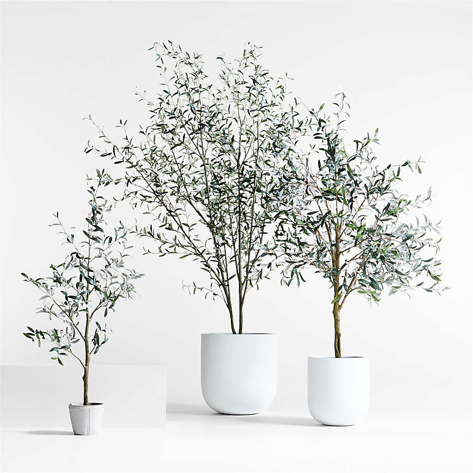Potted Faux Olive Tree 9' + Reviews | Crate & Barrel | Crate & Barrel