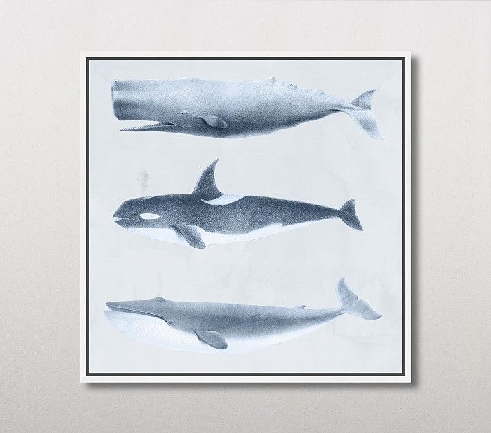 Whales Wall Art | Pottery Barn Kids