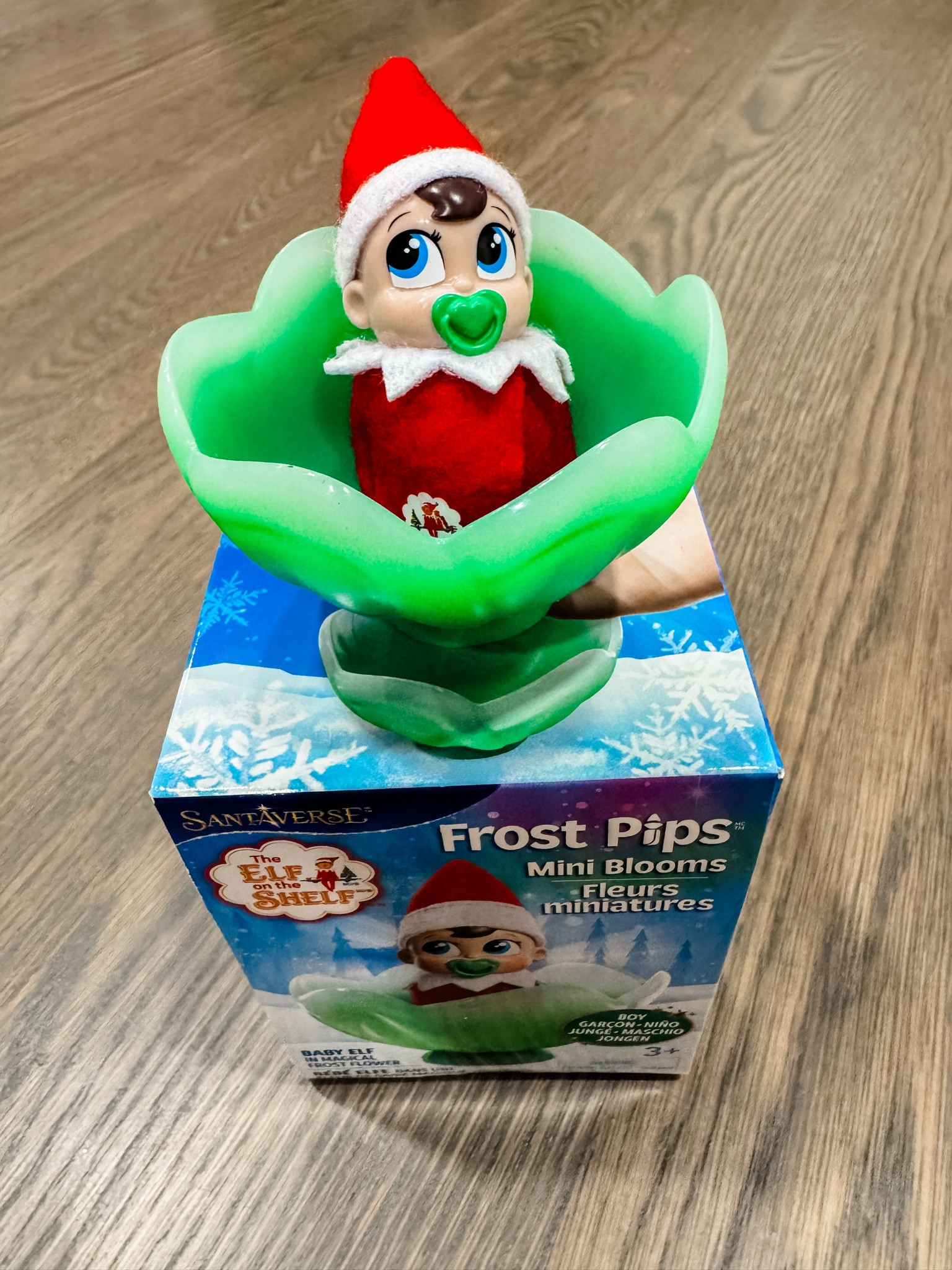 Will an elf baby be joining your family this holiday season? 🎄

#LTKKids #LTKHoliday #LTKSeasonal