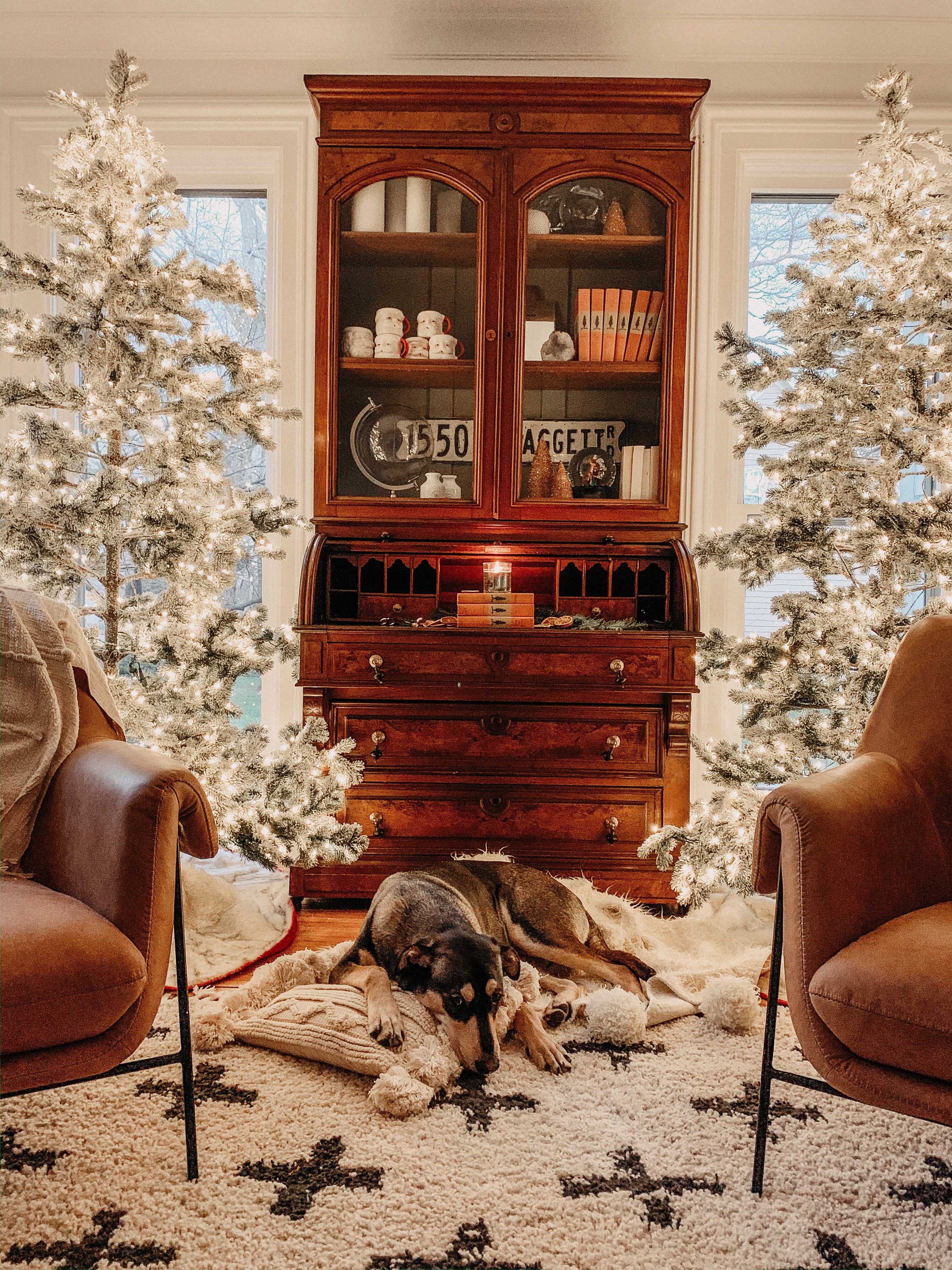 There’s something about the quiet glow of early mornings in December that feels a little bit magical. ✨
The soft sparkle from our King of Christmas flocked trees, the worn leather chairs that tell their own story, and a pup who always finds the coziest corner.

This is our favorite kind of home — simple, nostalgic, and full of light.
Every piece that makes this corner special is linked for you below. 

 #KindredVintage #LTKhome #LTKholiday #holidayhome #cozychristmas #christmasdecor #LTKfinds #warmandbright