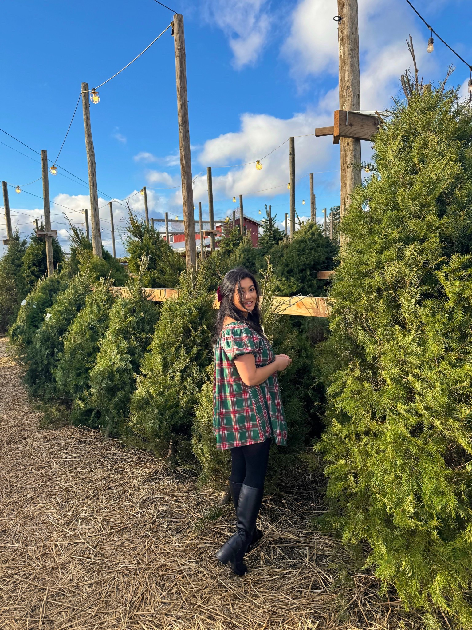 Christmas tree, farm, outfit, Christmas dinner 

#LTKSeasonal #LTKHoliday #LTKFindsUnder100