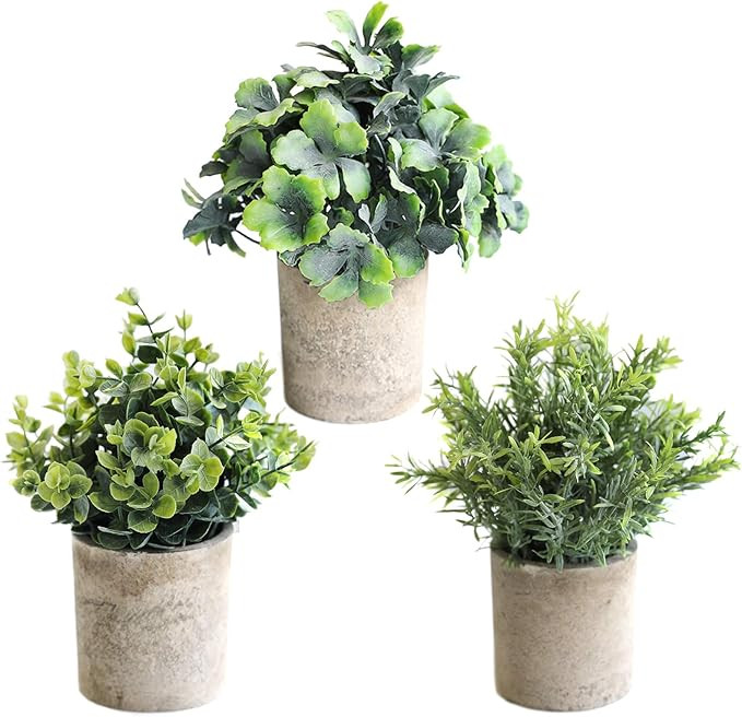 THE BLOOM TIMES Set of 3 Small Potted Artificial Plants Plastic Fake Greenery Boxwood Rosemary Mi... | Amazon (US)