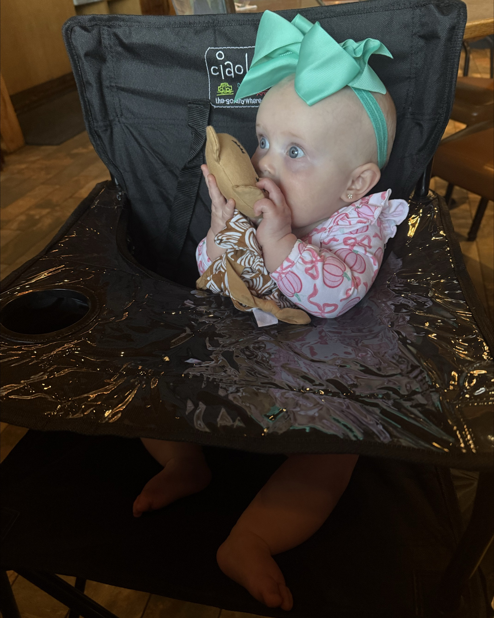 This portable high chair is SO convenient!!
It folds up and goes in a bag, the clear plastic makes it super easy to wipe down, and it has the adjustable straps like a regular high chair. 

My mom has one she keeps in her car that is similar except the tray table is plastic and removable- I’ll add both to this post because they’re both great!

#traveltips #highchair #babymusthaves #girlmom #infantseats

#LTKTravel #LTKFamily #LTKBaby