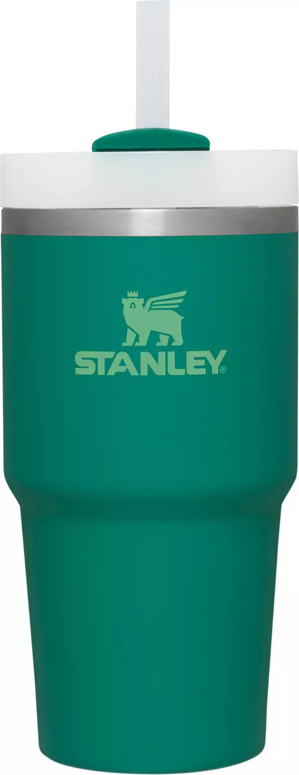 Stanley 20 oz. Quencher H2.0 FlowState Tumbler | Dick's Sporting Goods