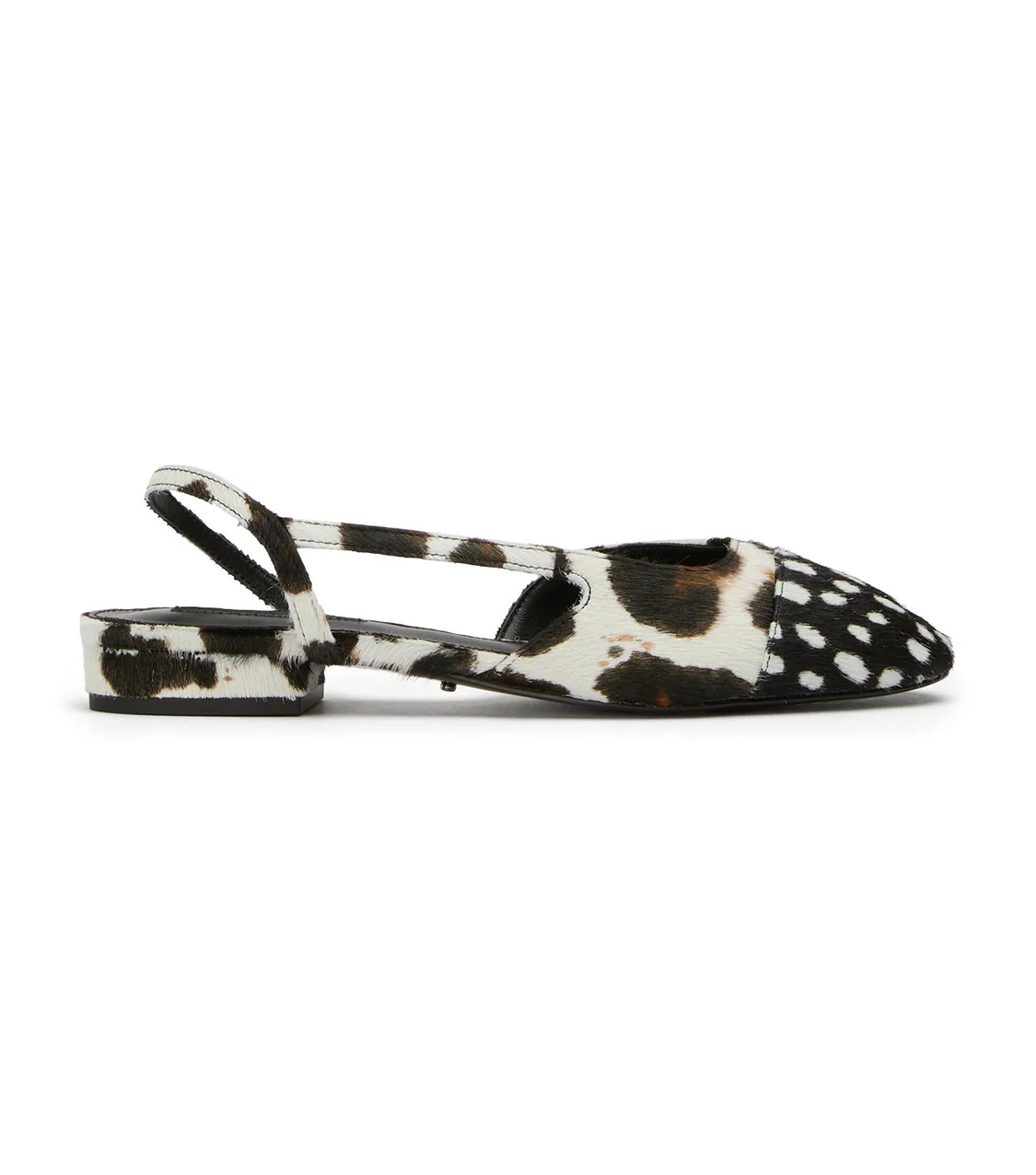 Pixie Snow Leopard/Black Speckle | Tony Bianco US