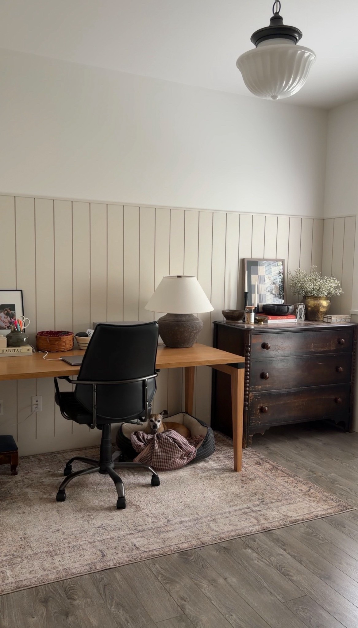 This Amber Lewis x Loloi rug is hands down the softest rug in our entire home 🤍 it has their CloudPile, which makes it feel way more plush and cozy than you’d expect from a vintage-style rug. I love that it still gives that lived-in, high-end look while actually being comfortable underfoot — it’s one of those pieces that makes a room feel instantly finished. We just finished the shiplap in our office and this was the final piece to pull everything together, and it made such a difference in how warm and layered the space feels. If you’ve been looking for a neutral rug that looks elevated and feels amazing, this one is so good. Linked here. 

#WayfairPartner #AD #Wayfair @Wayfair 

#LTKHome #LTKmomlife #LTKSaleAlert