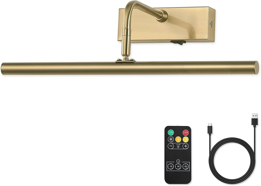 Picture Light Battery Operated Art Lights for Painting with Remote Wireless Wall Light Dimmable &... | Amazon (US)