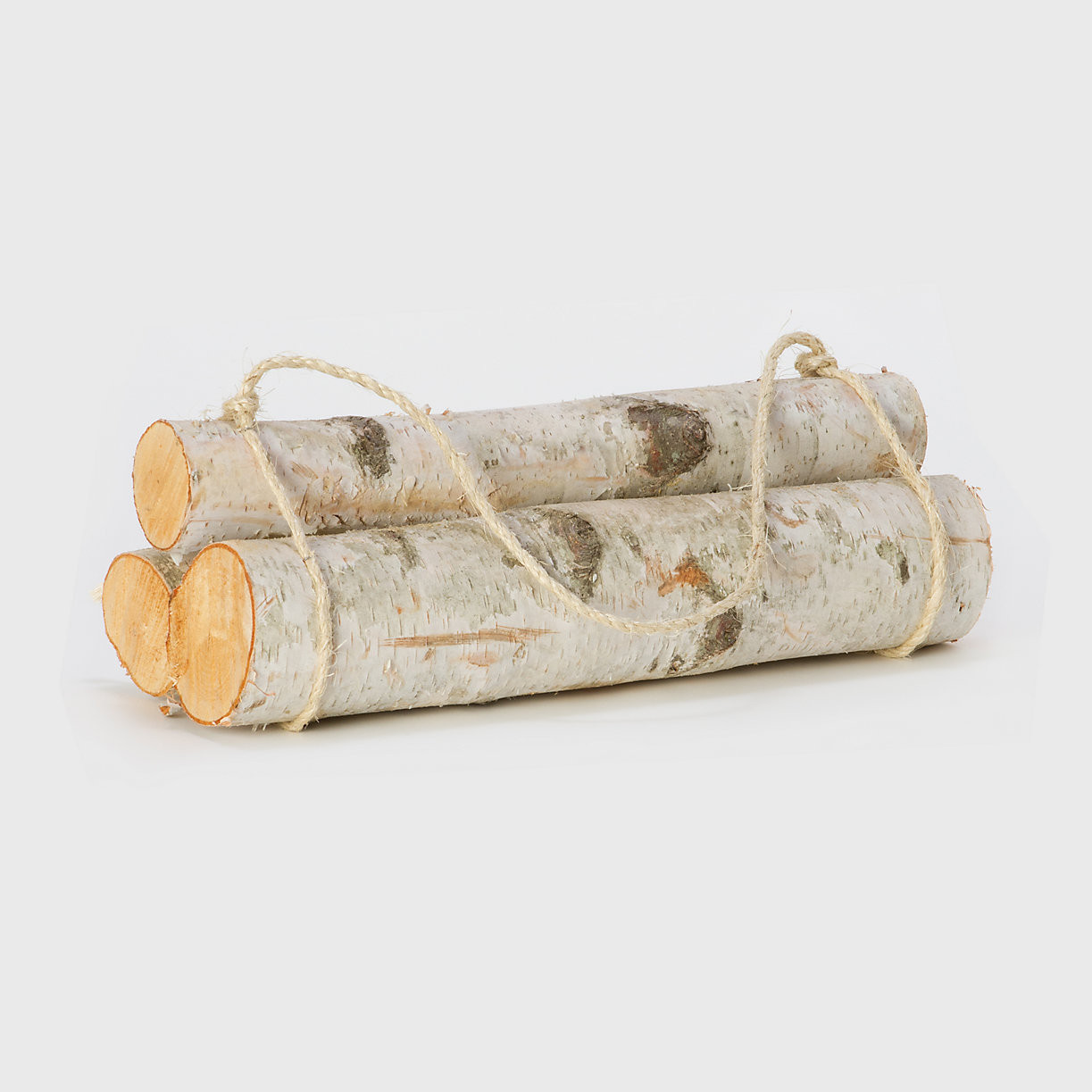 Birch Log Bundle, Small | Terrain