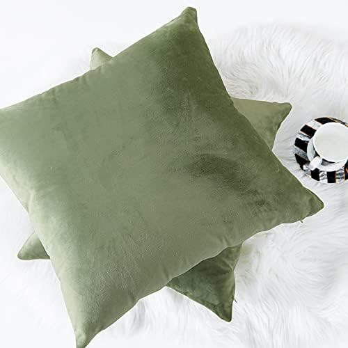 Lazzzy Velvet Throw Pillow Cover Decorative Pillowcase for Couch Bed Sofa Chair Soft Cushion Case So | Amazon (US)