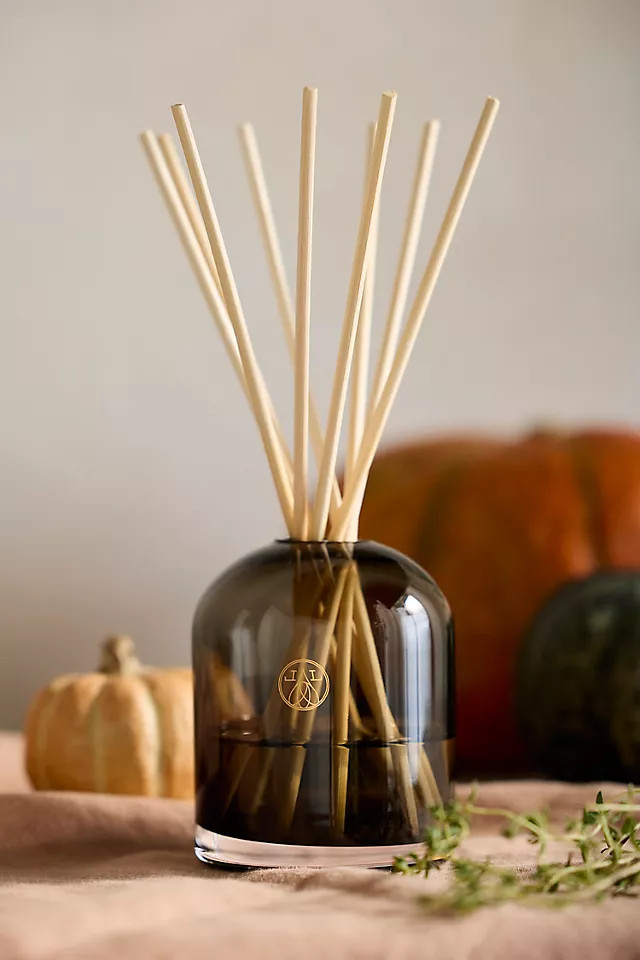 Diffuser, Harvest Pumpkin | Anthropologie (US)