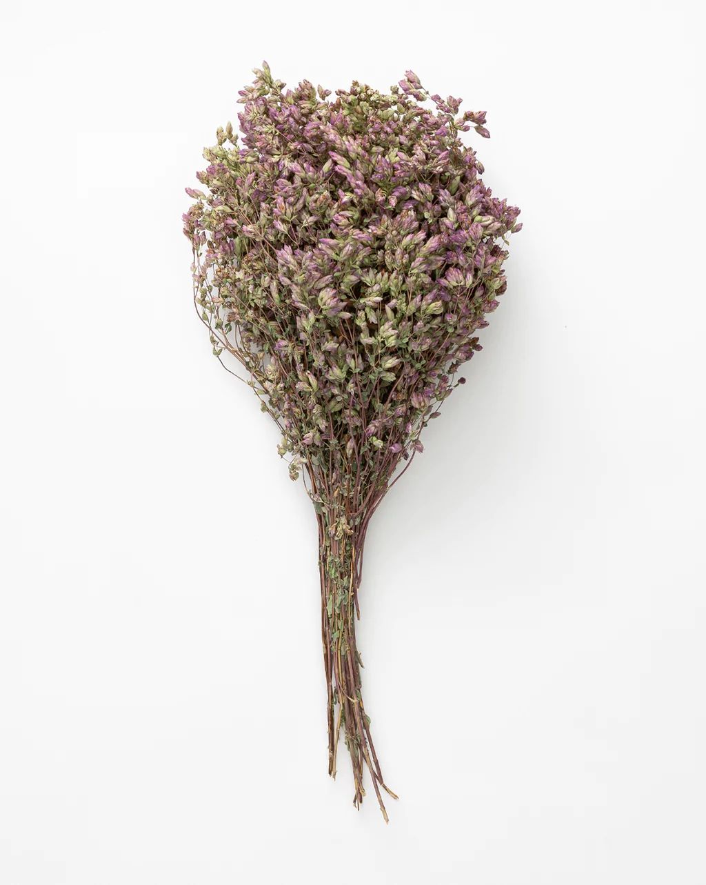 Dried Purple Oregano | McGee & Co.