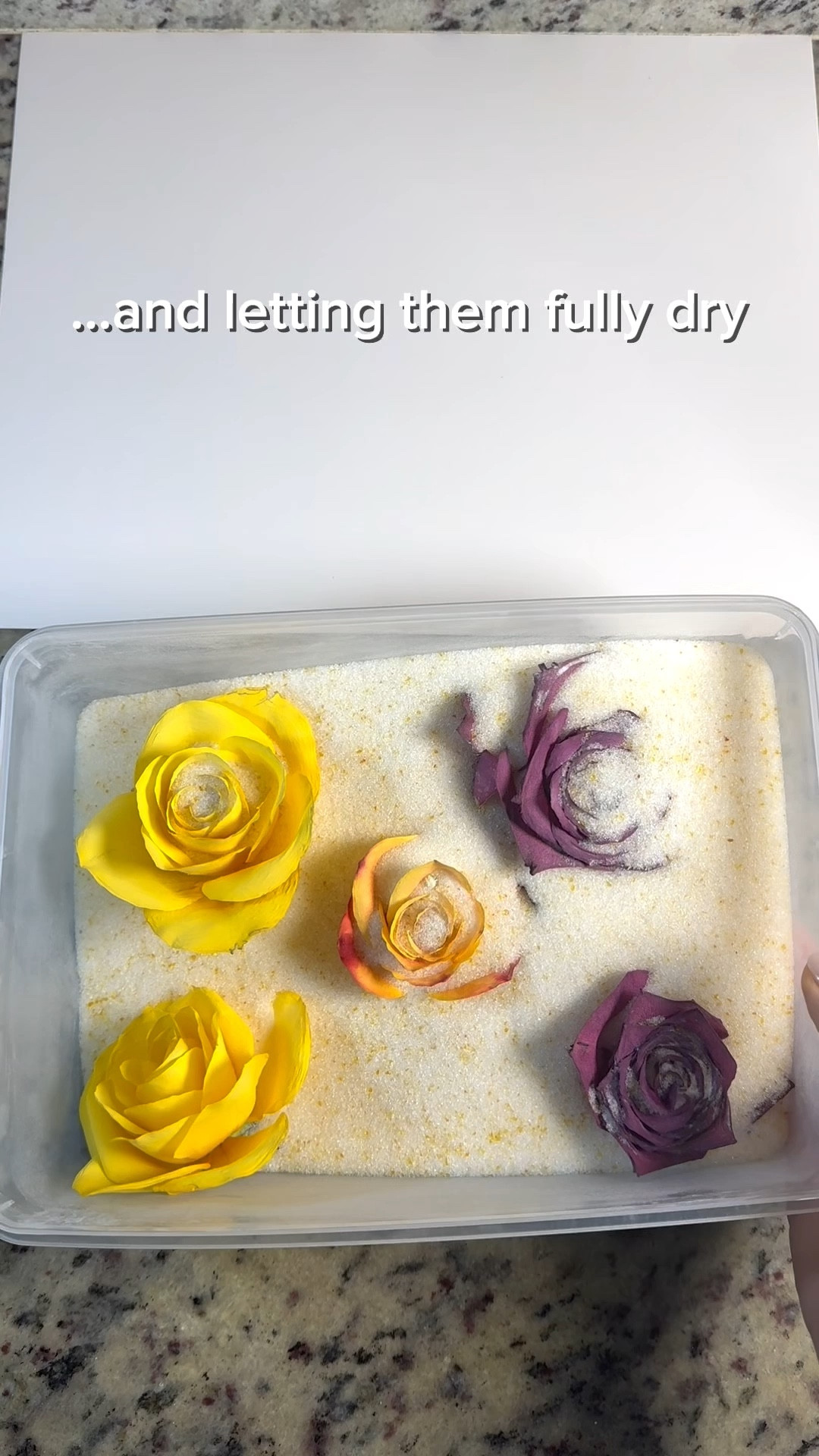 Preserved these roses using silica gel and finally opened them months later. I’m honestly so impressed with how vibrant they still are 🌹

Linking the silica gel + container I used if you want to try this yourself 🤍

#LTKSeasonal #LTKstorytime #LTKHome
