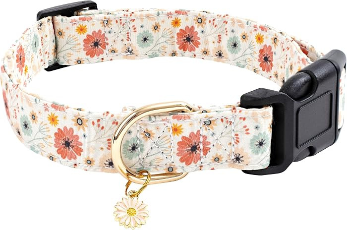 Faygarsle Cotton Designer Dogs Collar Cute Flower Dog Collars for Girl Female Small Medium Large ... | Amazon (US)