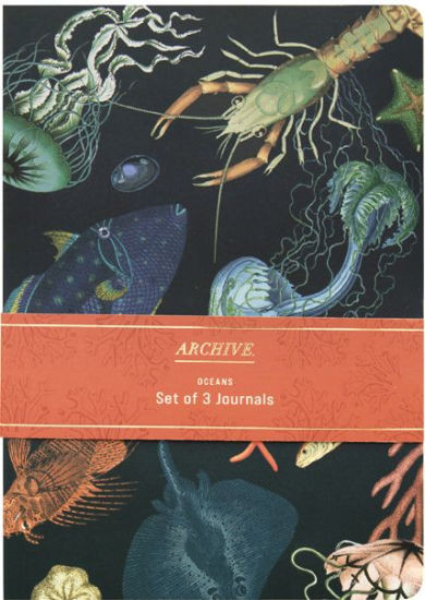 Archive Oceans Set of 3 B6 Journals | Barnes & Noble