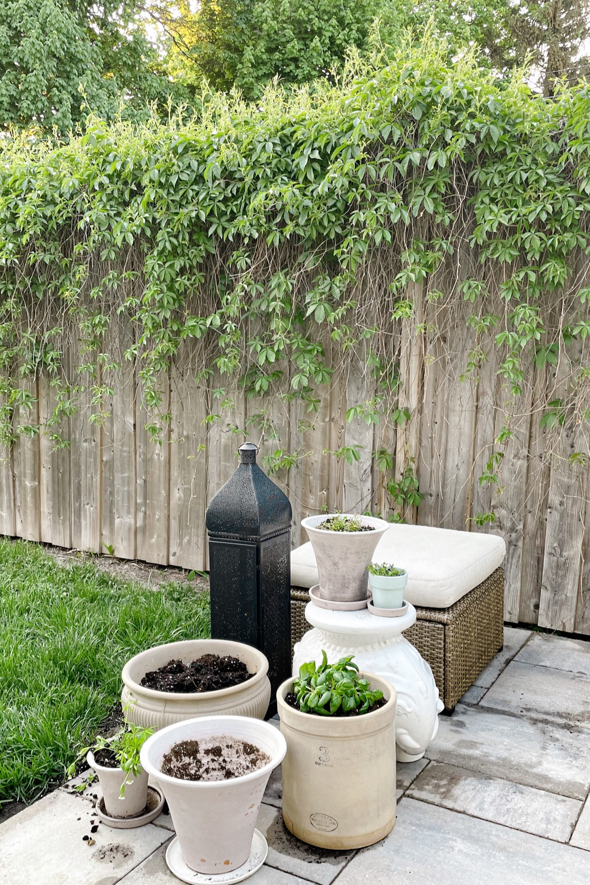 Things in my garden that I love: gardening gloves, planters, pots, lanterns… 

#LTKSeasonal #LTKhome