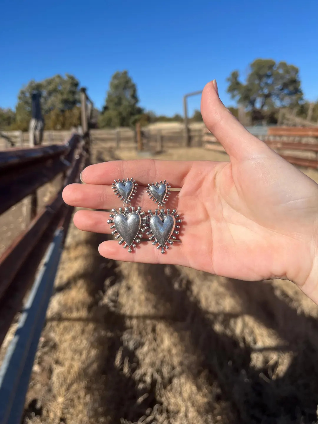 Heartbreaker Silver Dangle Earrings: Western Cowgirl Rodeo Accessories - Etsy | Etsy (US)