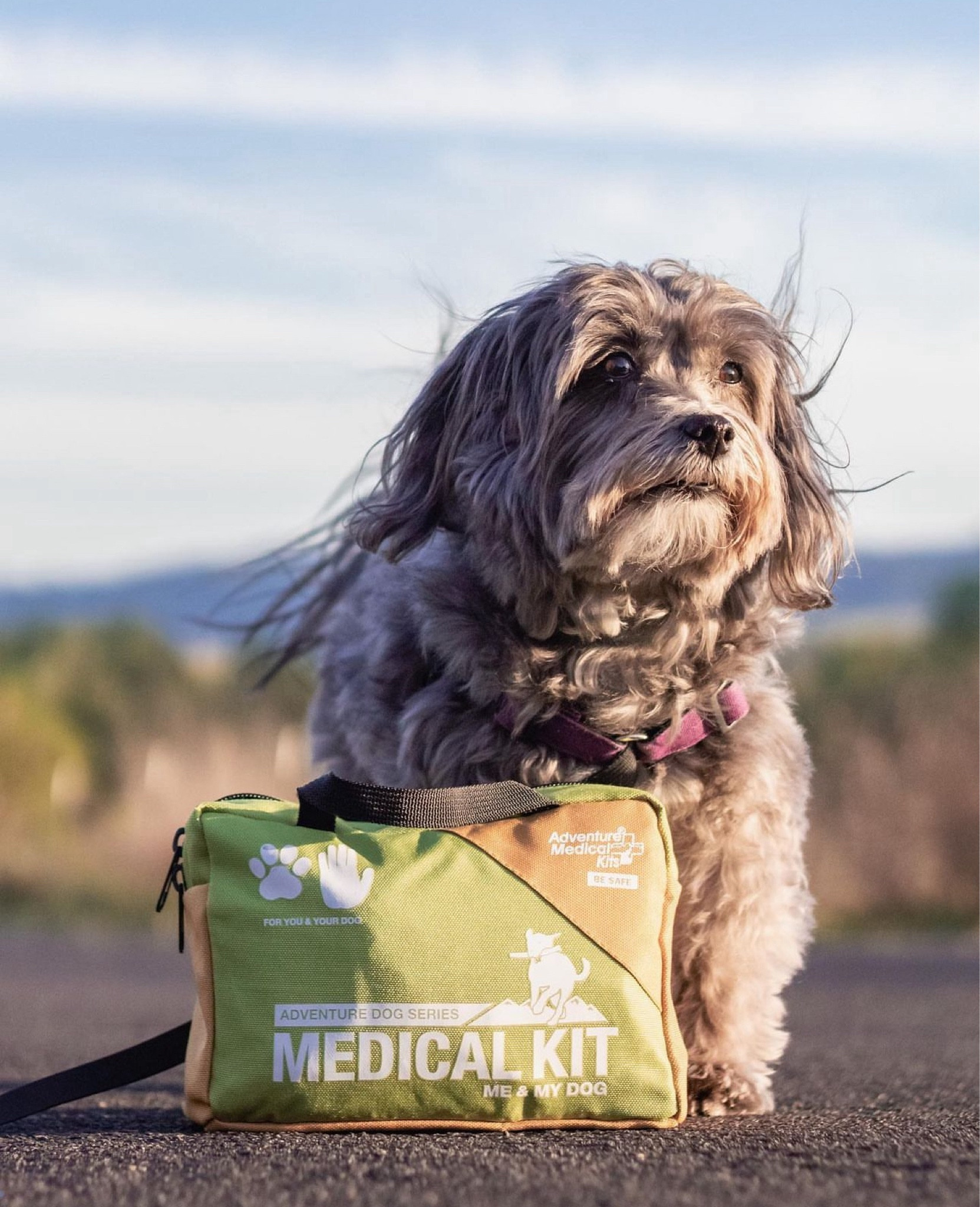 Always best to be prepared for an emergency should it come up. We love this medical kit to throw in our hiking bag or keep in the car since it has everything we need for a human or a dog! 

#LTKHome #LTKTravel #LTKFamily