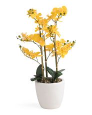40in Real Touch Orchid In Pot | Marshalls