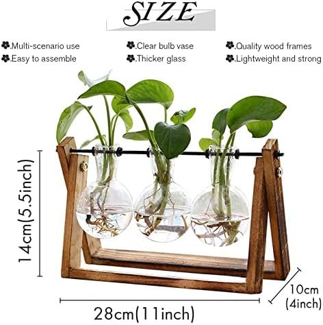 XXXFLOWER Plant Terrarium with Wooden Stand, Air Planter Bulb Glass Vase Metal Swivel Holder Retr... | Amazon (US)
