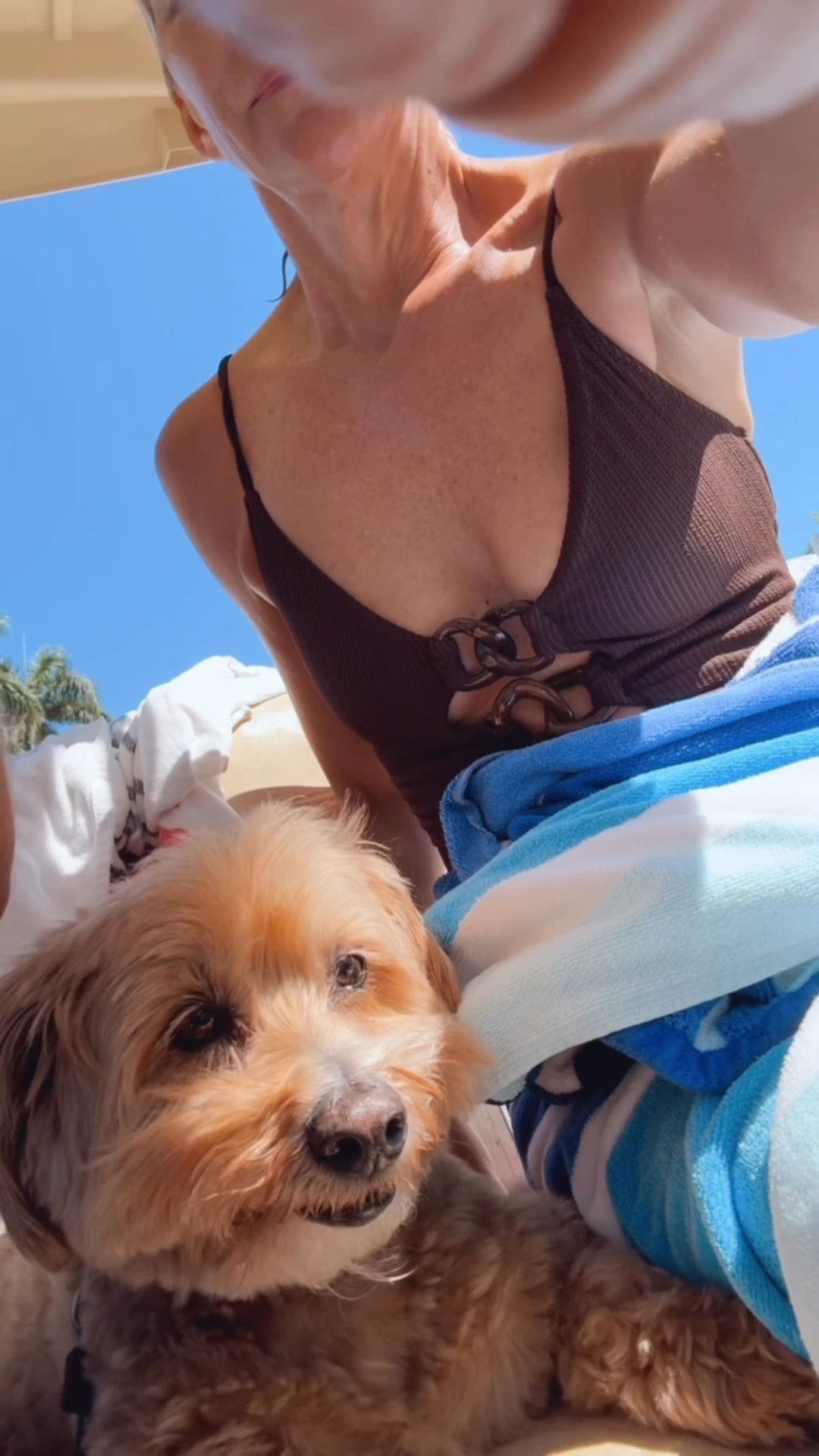  Amy live with him -can’t live without him 🐶. Linking my brown suit. Love it. Size up!

#LTKOver40 #LTKSeasonal #LTKdayinmylife