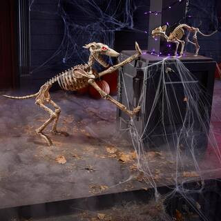 2 ft. Animated LED Decayed Skeleton Dog | The Home Depot