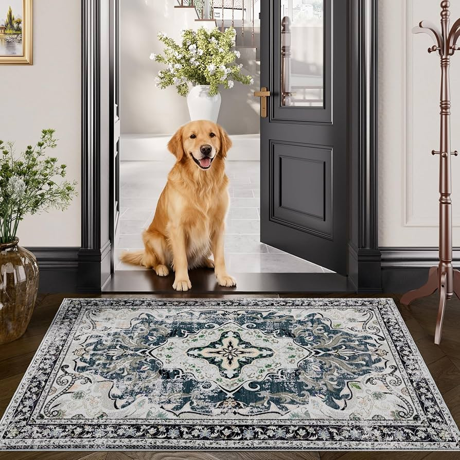 RUSHUFFY 2x3 Washable Small Rug Door Mat, Rugs for Entryway, Vintage Boho Distressed Print Non-Sl... | Amazon (US)