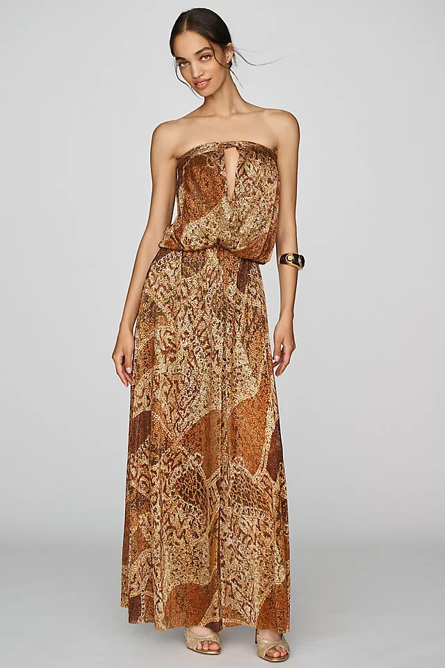 Sabina Musayev Asa Strapless Maxi Dress | Anthropologie (US)