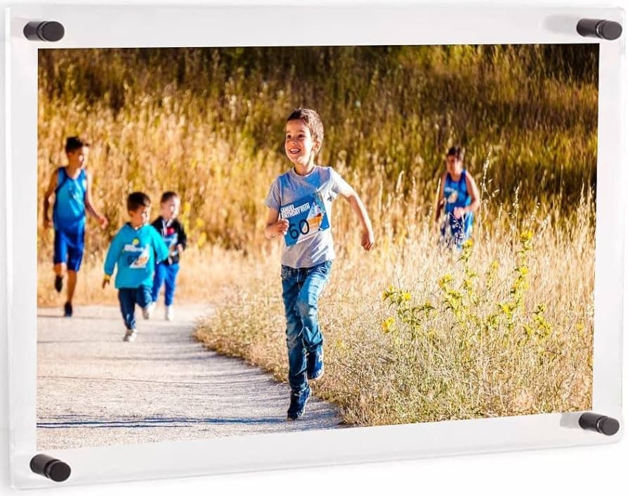 (24" x 30") Clear Acrylic Wall Mount Floating Picture Frame with (Black Standoffs) Frame-less Dou... | Amazon (US)