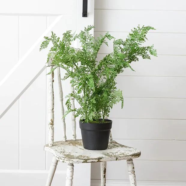 Faux Maidenhair Fern In Pot | Antique Farm House